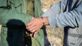 دستگیری شکارچی متخلف در قلب منطقه حفاظت‌شده البرز جنوبی؛ شکار غیرقانونی پایان یافت!