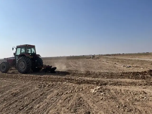 شروع مزرعه PVS گندم در سمنان برای کشف بهترین ارقام مقاوم و پربازده