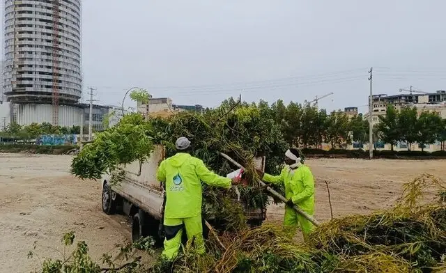 طوفان سهمگین قشم چقدر به فضای سبز خسارت زد؟ گزارش تکان‌دهنده از نابودی هزاران درخت و بوته!