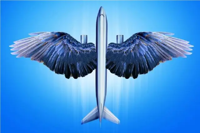 شگفتی‌های زیست‌تقلید در ۲۰۲۵؛ وقتی طبیعت، فناوری را متحول می‌کند!