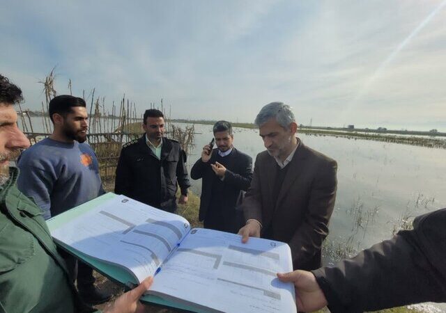 فرمان قاطع برای توقف شکار غیرمجاز پرندگان مهاجر در تالاب وزرا محله
