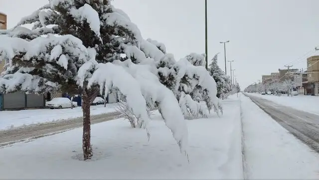 بارش برف و مه‌گرفتگی شدید در محورهای حساس آذربایجان غربی؛ هشدار برای رانندگان!