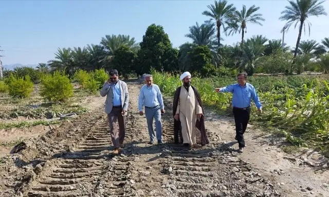 فرماندار رودان نسبت به سیلاب مهیب رودخانه آب‌نما هشدار داد؛ خطر فوری و جدی در کمین کشاورزی و منازل!
