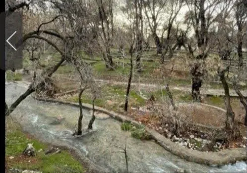 چشمه قدمگاه فارس با تنوع زیستی شگفت‌انگیز به عنوان اثر طبیعی ملی ثبت شد!