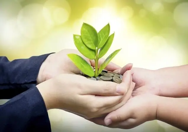 برگ بی‌برگی