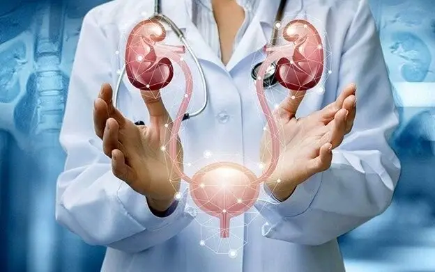 راهنمای انتخاب متخصص اورولوژی در مشهد؛ معرفی یک مرکز تخصصی معتبر