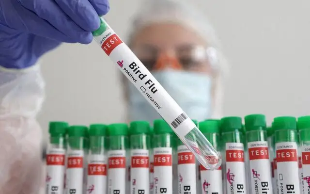 پایش مولکولی و سرمی آنفلوآنزای فوق حاد پرندگان در کرمانشاه آغاز شد