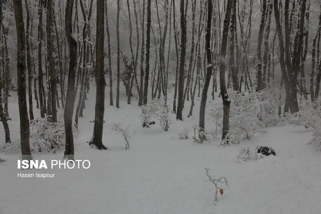 افزایش ۱۱ درصدی آمار بارش در کنار تداوم خشکسالی
