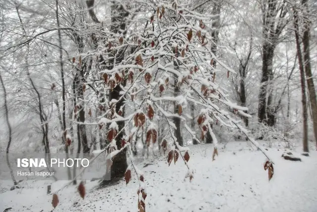 تداوم سرمای شدید و مه در آذربایجان‌شرقی