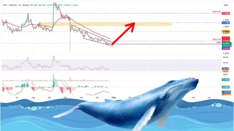 خرید حیرت‌انگیز نهنگ‌ها در ورلدکوین؛ آیا آلت‌کوین محبوب آماده جهش است؟