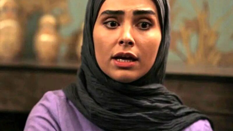 پرواز «آفرین» آنام بر فراز آسمان آفریقای جنوبی