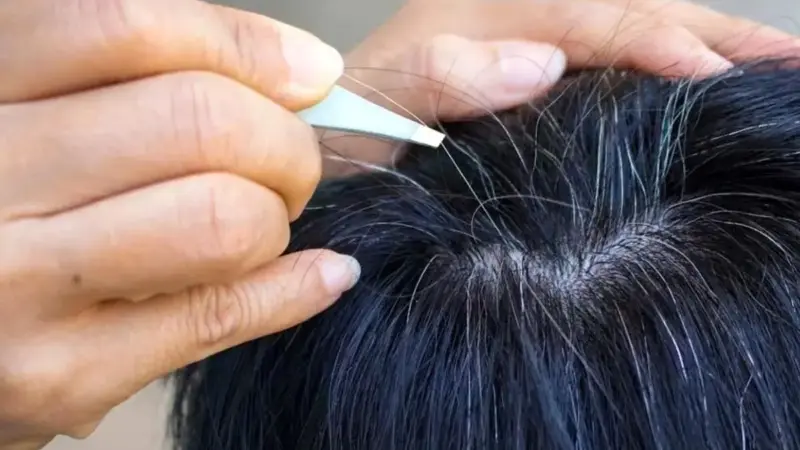 طب سنتی با چه رازهایی علت سفیدی مو را توضیح می‌دهد؟ کشف نکات شگفت‌انگیز درباره سلامت و تغذیه!