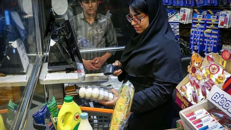 قیمت هر شانه تخم‌مرغ به ۳۰۰ هزار تومان رسید!