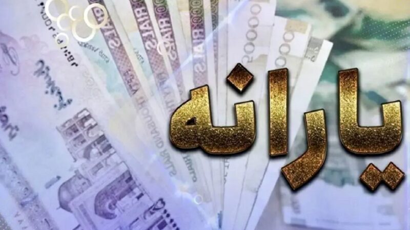 قطع یارانه ۱۰ میلیون نفر؛ مجلس مصمم به اجرای جدی حذف دهک‌های بالا درآمدی!