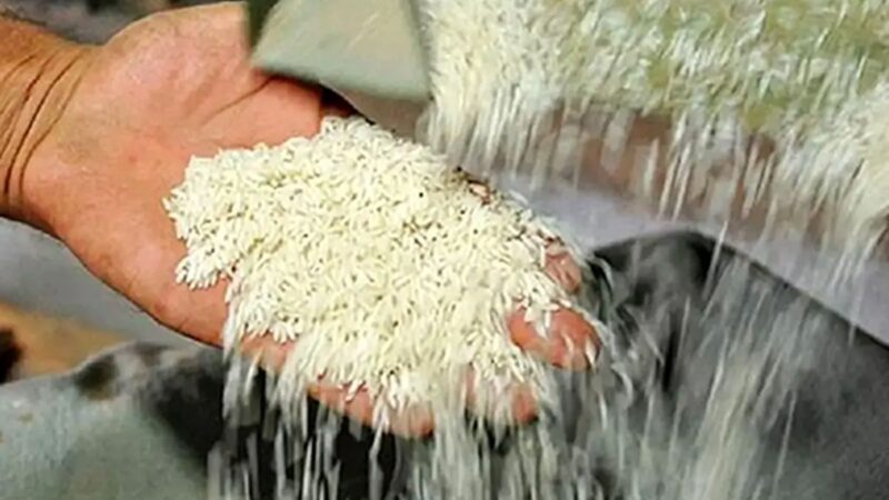 تنها همین دو کشور مشتری برنج ایرانی هستند