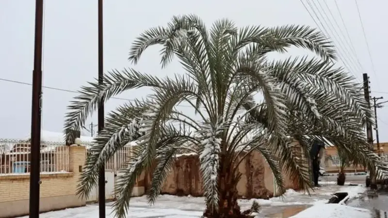 کدام استان‌های شرقی کشور امروز زیر بارش برف و رعدوبرق می‌روند؟