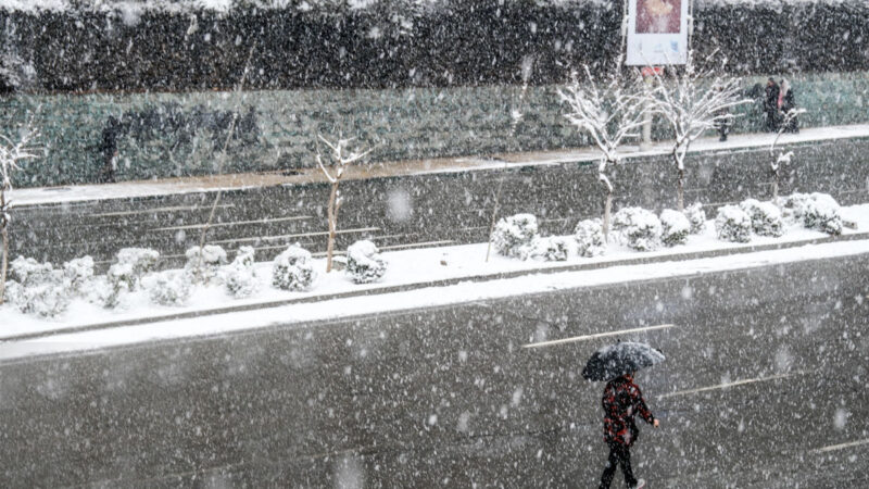 بارش برف پاییزی در تهران؛ تصاویری که حال و هوای پایتخت را متحول کرد!