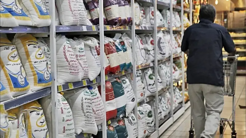 وزیر جهاد کشاورزی از شیوه نوین و حمایت‌گرانه قیمت‌گذاری برنج خارجی پرده برداشت