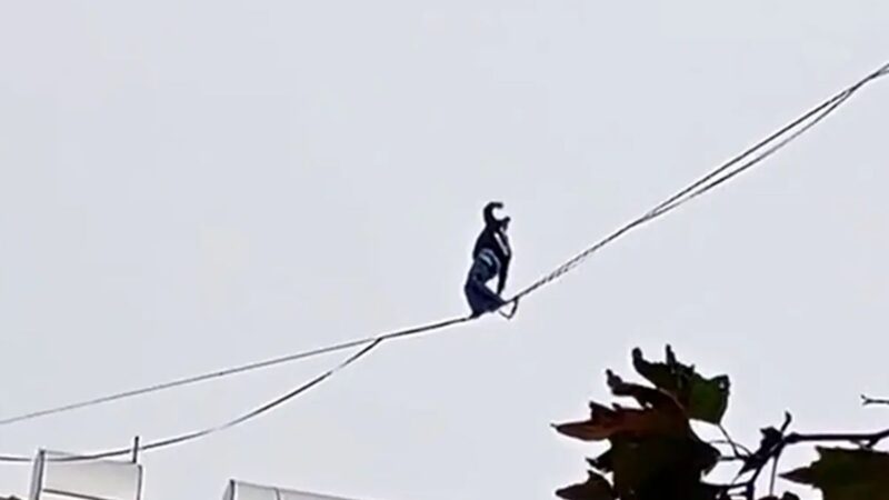 حرکت دیوانه‌وار دختر جوان روی سیم‌های معلق وسط شهر؛ پلیس و اورژانس در محل حاضر شدند!
