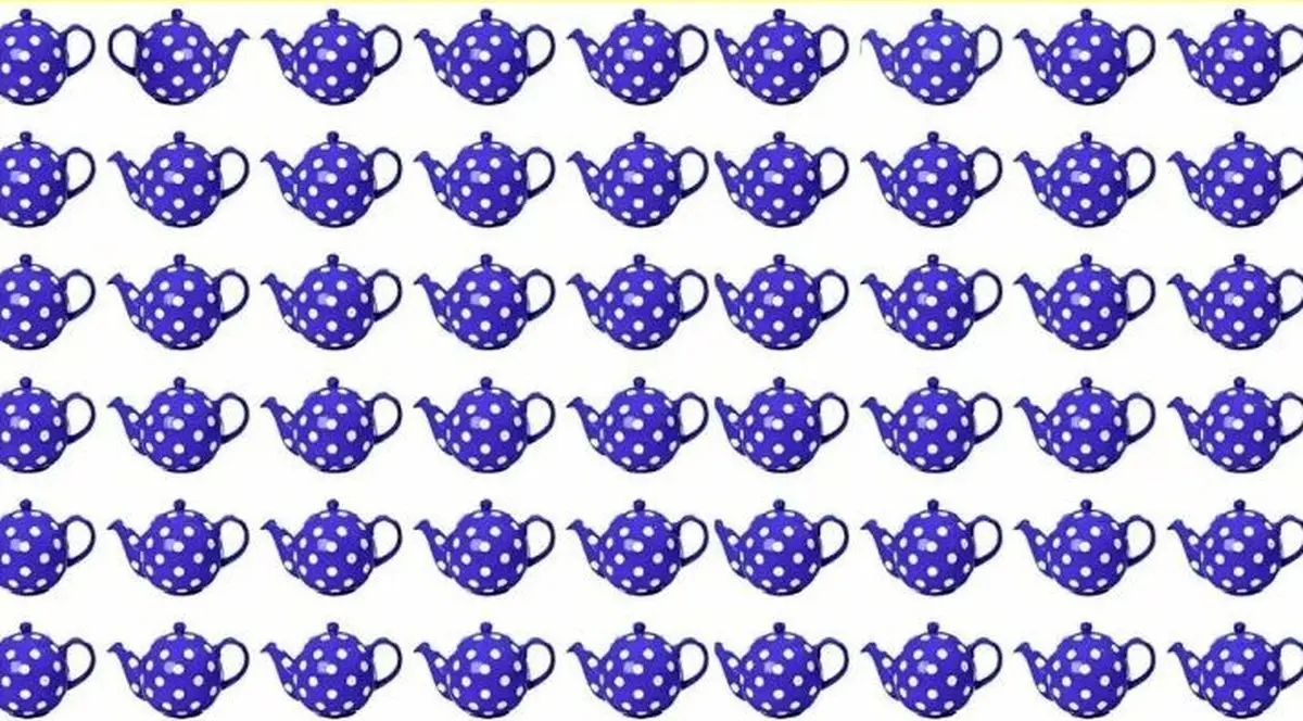 چشمان عقابی دارید؟ قوری متفاوت را پیدا کنید و خود را محک بزنید!