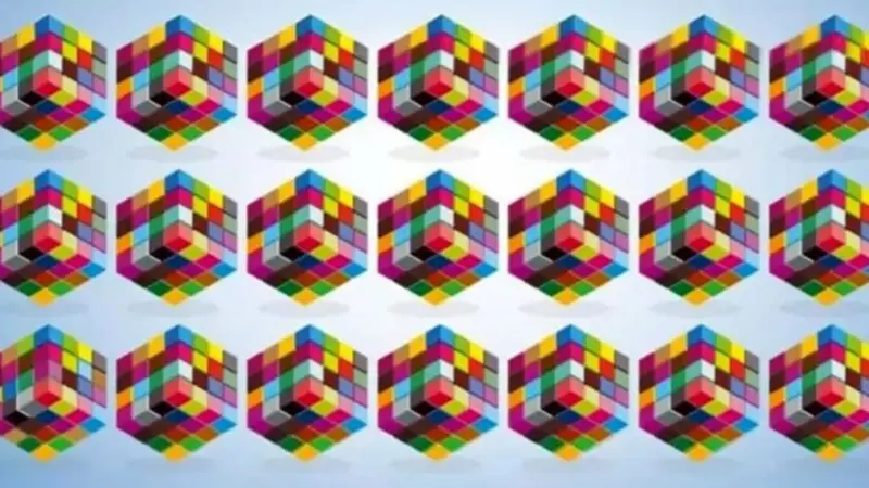 چشمان عقابی دارید؟ مکعب متفاوت را در این چالش دیداری پیدا کنید!