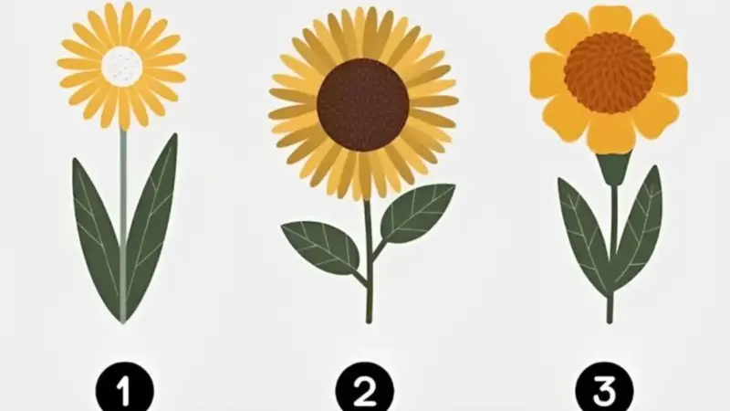 تست هیجان‌انگیز شخصیت: با انتخاب یک گل زرد، میزان ماجراجویی خود را کشف کنید!