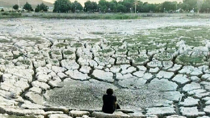 مرگِ نیلوفر کرمانشاه، زیبایی‌ای که خاموش شد