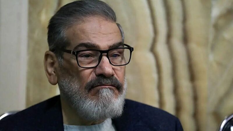 فاش شد؛ اولین منتشرکننده فیلم عروسی دختر شمخانی چه سابقه‌ای دارد؟