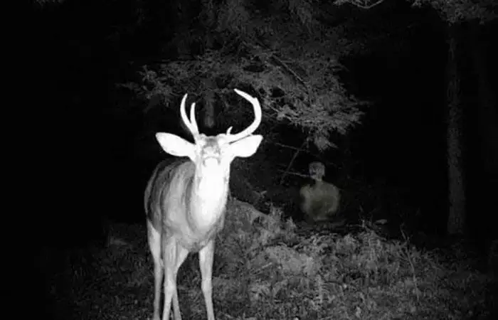 نام‌های مرموز جن‌ها که مذکر و مؤنث دارند؛ آیا ریختن آب داغ واقعاً راه فرار است؟