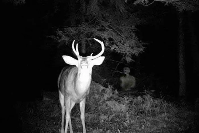 نام‌های مرموز جن‌ها که مذکر و مؤنث دارند؛ آیا ریختن آب داغ واقعاً راه فرار است؟