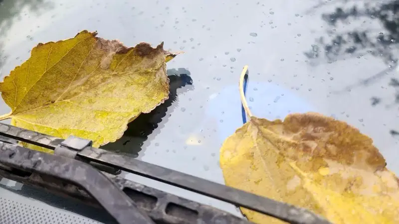 فال حافظ 11 آذر؛ رازهای نهفته در اشعار امروز حافظ را کشف کنید!