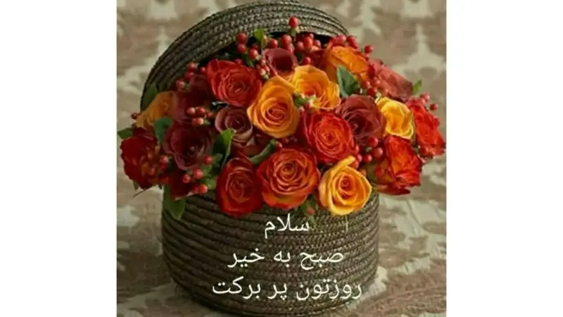 فال روزانه 29 آذر؛ توصیه‌های طلایی برای متولدین هر ماه که نباید از دست بدهید!