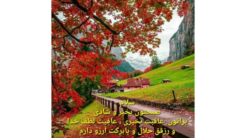 فال حافظ امروز ۵ دی؛ پیام‌های پنهان شعرهای کهن برای مسیر زندگی شما