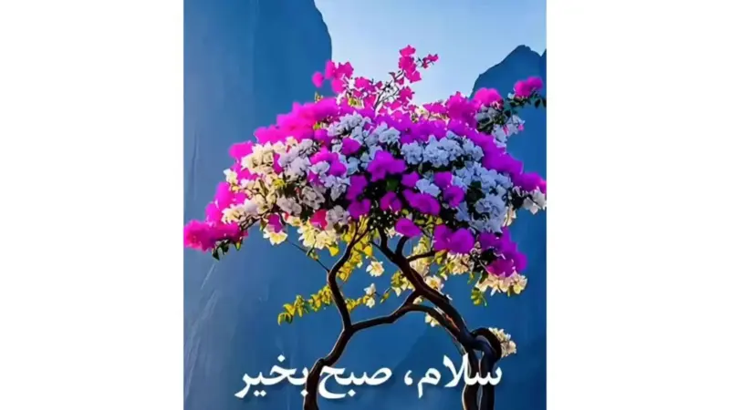 فال روزانه 11 آذر؛ شانس امروز در انتظار کدام متولدین است؟