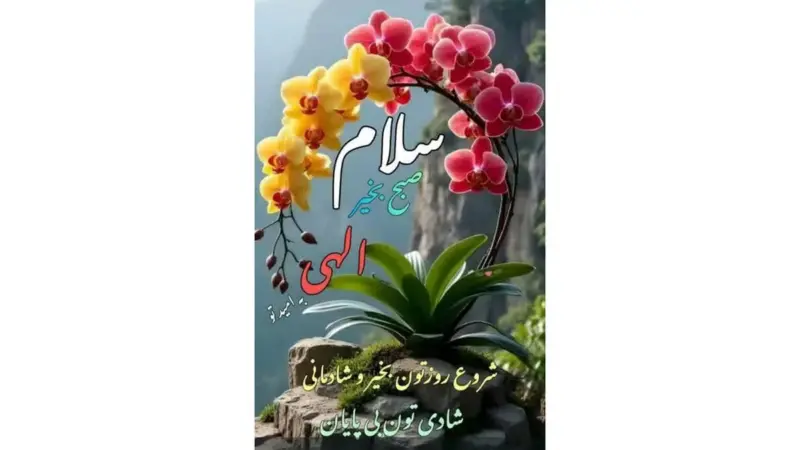 فال ابجد امروز 29 آذر؛ رازهای پنهان چهار حرف الفبای فارسی که باید بدانید!