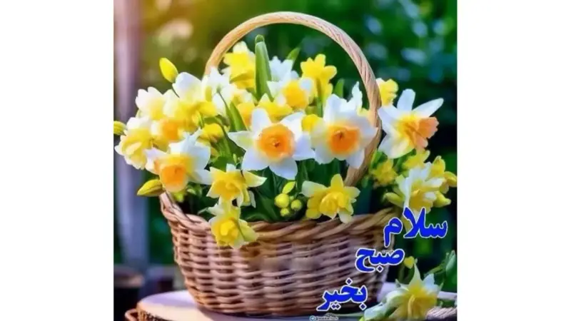 فال و طالع بینی 4 دی؛ توصیه‌های شگفت‌انگیز برای هر ماه تولد که نباید از دست بدهید!