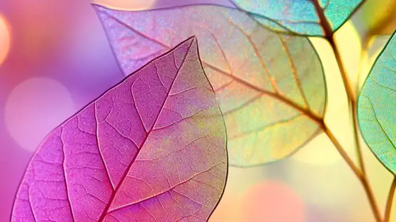 فال ابجد محشر 26 آذر؛ رمزگشایی شگفت‌انگیز چهار حرف الفبای فارسی برای متولدین امروز!