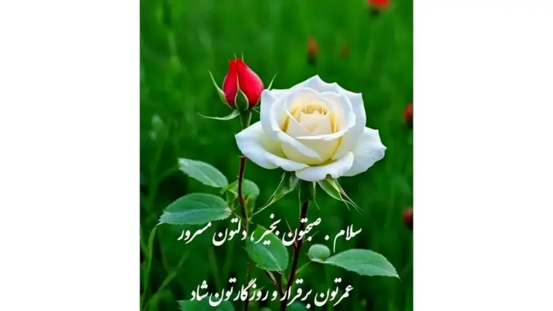 فال و طالع‌بینی امروز ۵ دی ۱۴۰۴؛ چه اتفاقاتی در انتظار شماست؟