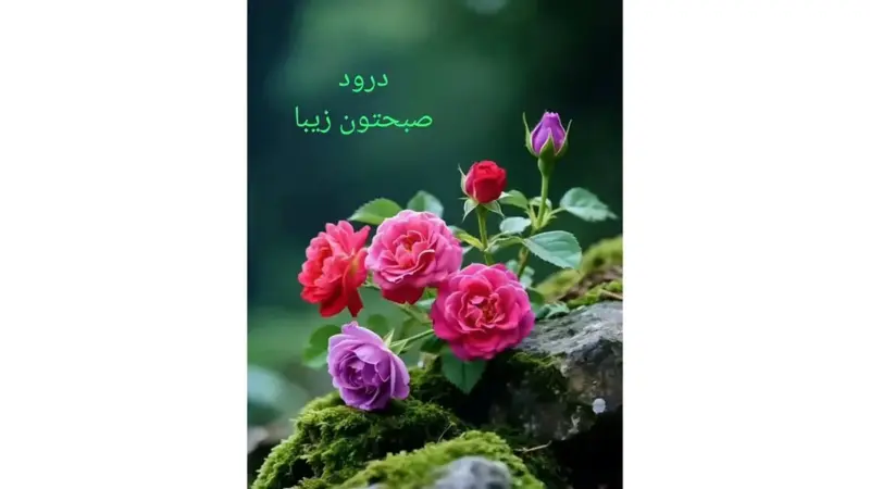 فال ابجد 24 آذر؛ تعبیر شگفت‌انگیز و رازهای پشت حروف الفبای فارسی!