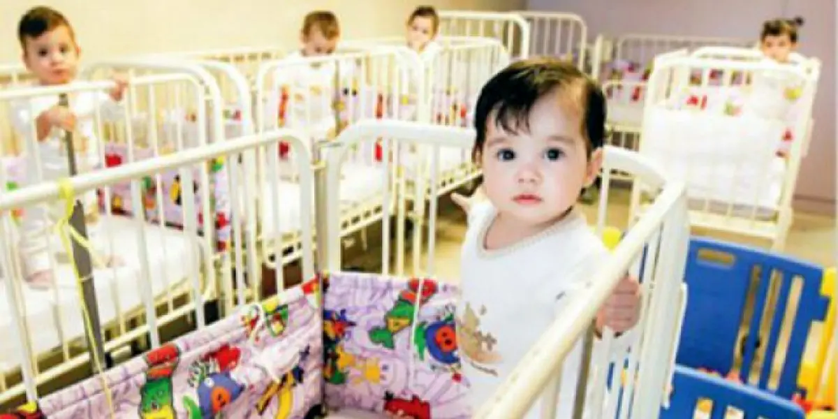 چرا زنان مجرد هنوز نمی‌توانند نوزاد را به فرزندخواندگی بگیرند؟ توضیح مدیر بهزیستی درباره محدودیت‌ها