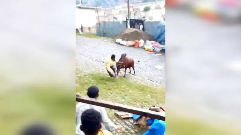 حمله ناگهانی گاو خشمگین به مرد هندو در خیابان؛ نجات معجزه‌آسا با کمک مردم محلی