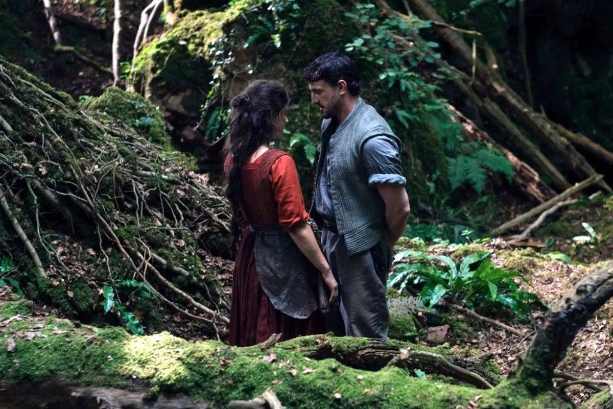 فیلمی که همه را شوکه کرد؛ نامزد اسکار یا تراژدی غم‌انگیز فراموش‌نشدنی؟