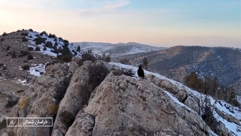 حمله بی‌سابقه عقاب به پهپاد صداوسیما در دل ارتفاعات خراسان شمالی!