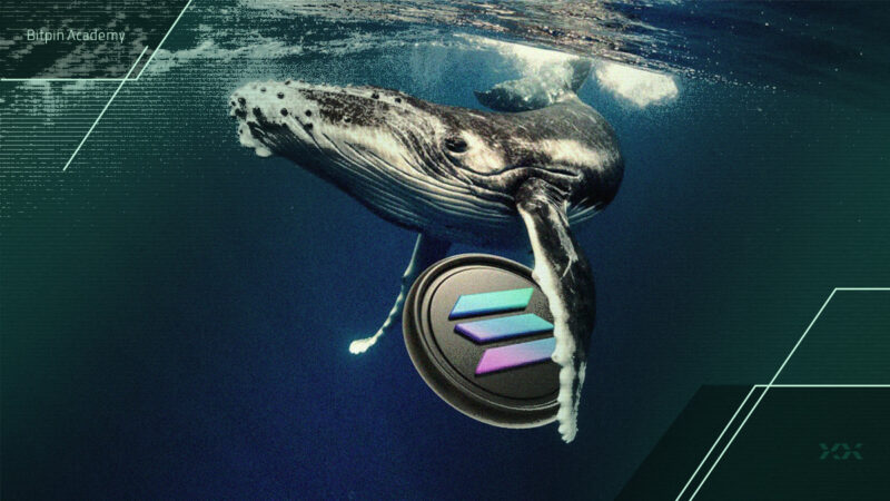 حرکت میلیون دلاری نهنگ سولانا که بازار را تکان داد؛ آیا قیمت سولانا به ۱۴۵ دلار می‌رسد؟