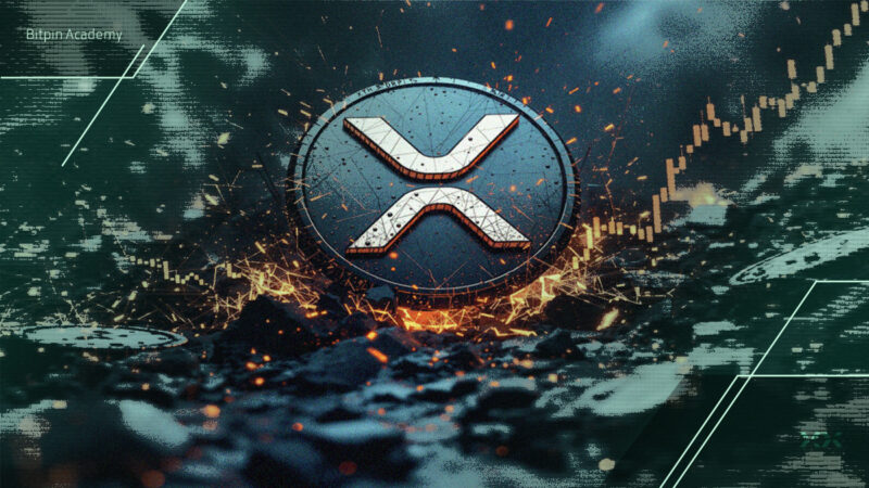 کاهش بی‌سابقه کارمزدها در شبکه ریپل؛ آیا سقوط قیمت XRP آغاز شده؟
