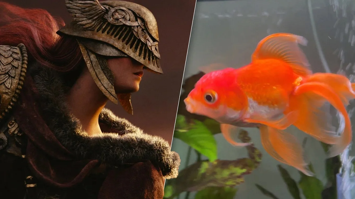 وداع با تورتلینی؛ ماهی قرمزی که باس‌های Elden Ring را از پا درآورد