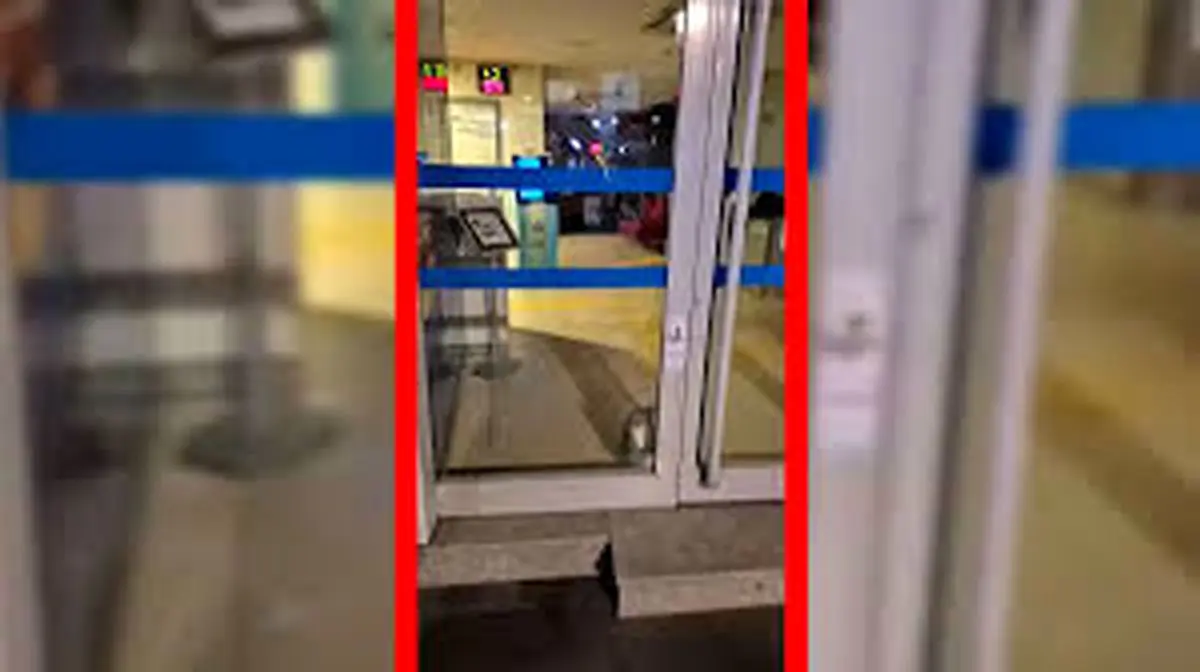 گربه‌ای که با دزدی عجیب، آژیر بانک را به صدا درآورد! ویدئوی حیرت‌انگیز منتشر شد