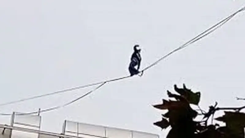 حرکت وحشتناک دختر جوان روی سیم‌های برق بین ساختمان‌ها؛ لحظه‌هایی که نفس را در سینه حبس می‌کند!