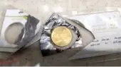 رمزگشایی از فروش سکه‌های تقلبی بهارآزادی در مشهد؛ عملیات مخفیانه پلیس چگونه لو رفت؟