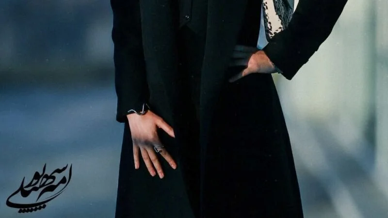 کابوس وحشتناک کودک استرالیایی در توالت خانه؛ مارمولک غول‌پیکر در انتظارش بود!